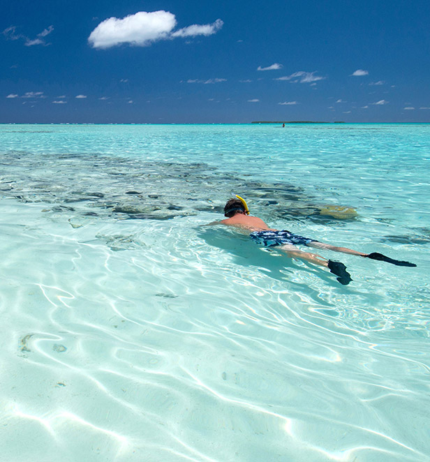 Snorkelling in the Great Barrier Reef