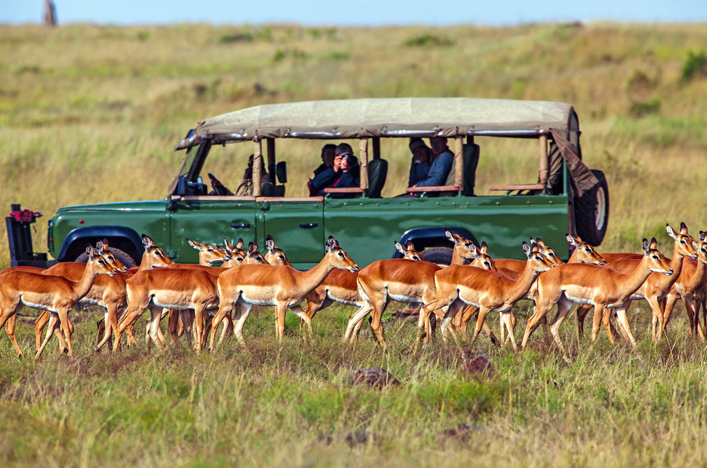 scenic tours africa