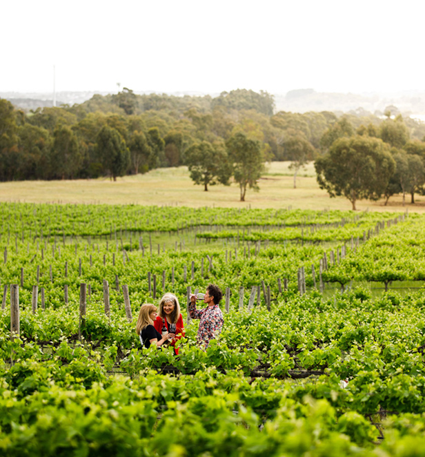 Enjoying wine at the Gemtree Vineyard