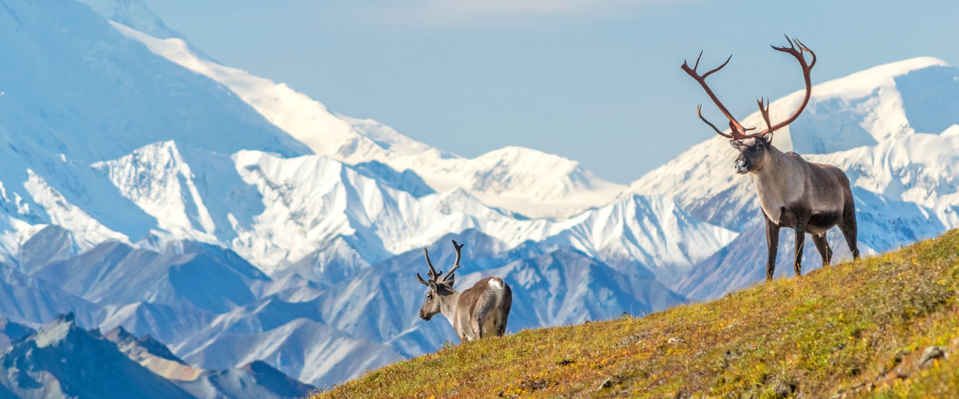 rocky mountaineer with alaska cruise