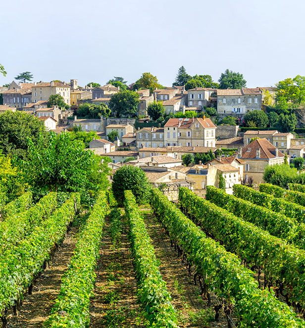 Green vineyards and houses in the commune of Saint Emilion, France