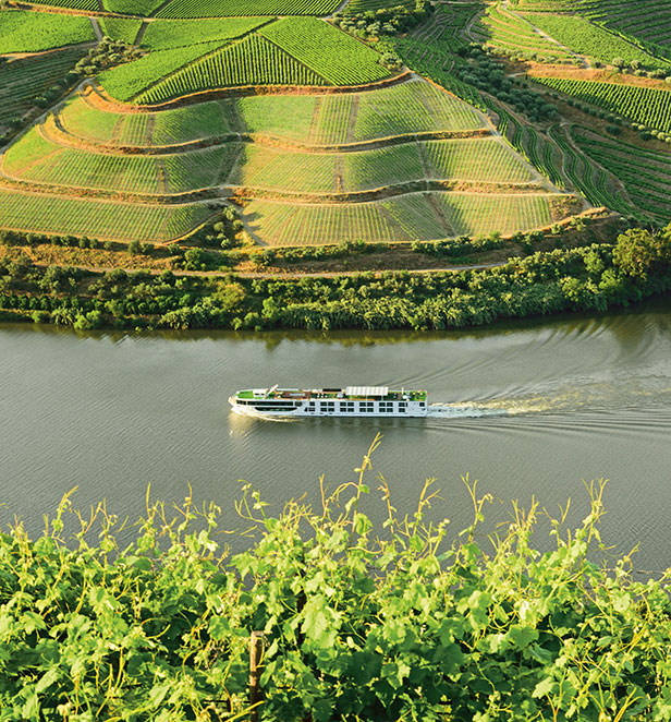 Vineyards and sprawling green hills surrounding the Douro Valley in Portugal 