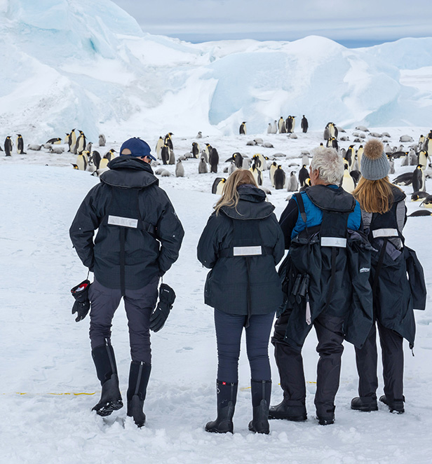 Scenic Eclipse guests watching emperor penguins